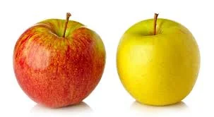 Куплю яблоки оптом от 20 тонн, потребность в месяц 260-300 тонн