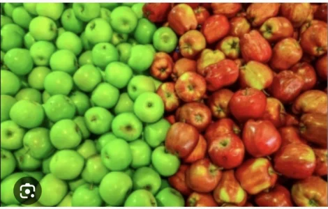 Купую яблука всіх сортів