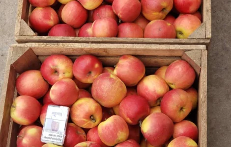 Продажа яблок гуртом: Джонаголд