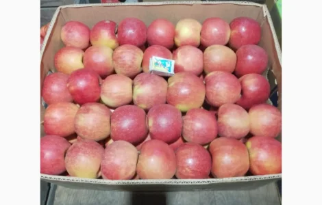 Продам яблука! Різних сортів! Урожай 2025