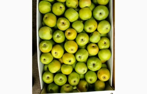 Продам ЯБЛУКА гуртом: Джонаголд, Айдарет, Голден, Симеренко