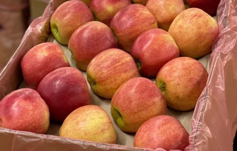 Куплю яблоки