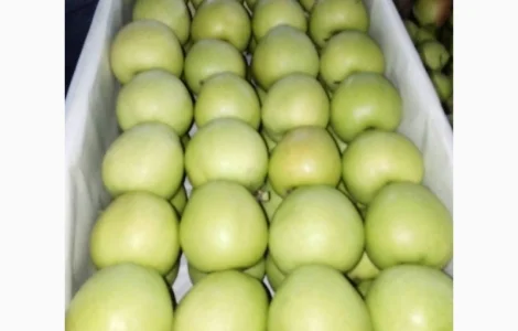 Продаємо яблука