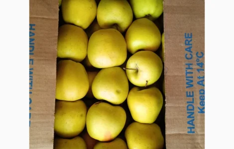 Продам Яблоко Голден