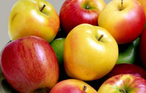 Куплю яблука оптом
