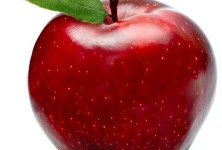 Куплю яблука на переробку по всій Україні