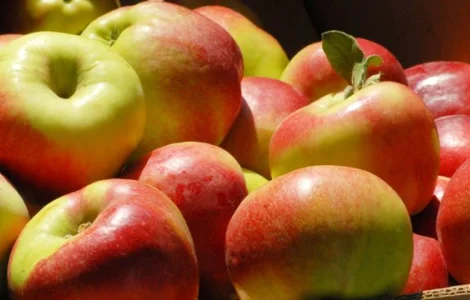 Зробимо сік з ваших яблук