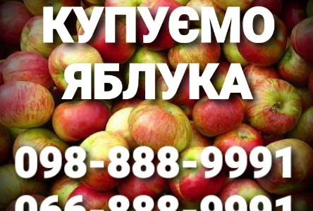 Купуємо яблука (куплю яблоки) на переробку (пюре, сік, повідло, сок) оптом, Днепр, Харьков
