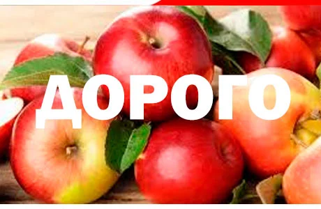 Закуповуємо на сік ціна + ПДВ яблоко оптом на переробку