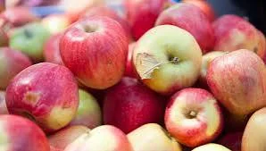 Куплю яблуко на сік та перебку крупний опт