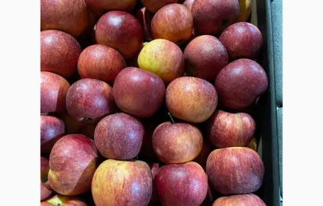 Продам яблоко