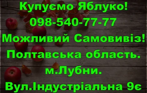 На постійній основі закуповую яблуко дрібним та великим оптом від населення і заготувачів