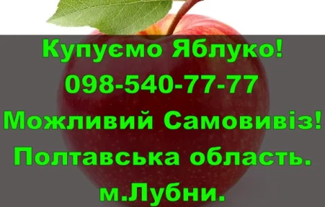 Підприємство на постійній основі закуповує яблуко дрібним та великим оптом