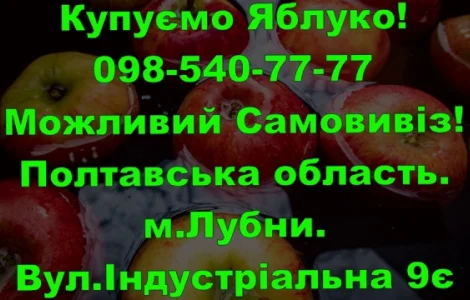 На постійній основі закуповуємо яблуко врожаю 2024року