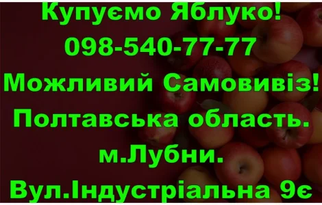 На постійній основі закуповуємо яблуко врожаю 2024року!Дорого