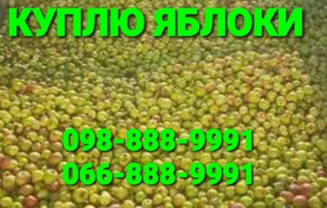 Куплю яблоки некондицию и подбор, оптом на пром. переработку, (пюре, повидло, сок) Харьков