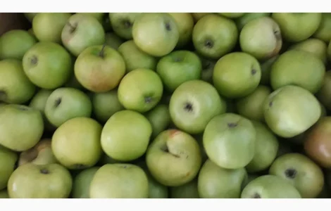 Продам симиренку