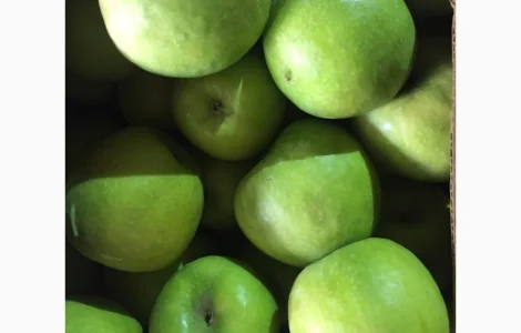 Продам яблоко разных сортов. Киев. Опт