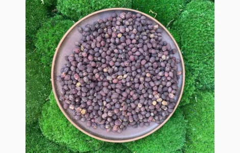 Глід, ягоды глоду, боярышник, ягода