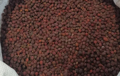 Продам глід сушений, ягода глоду