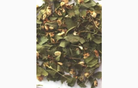 Куплю сушенные листья с цветом боярышника, липы, бузины, акации, каштана