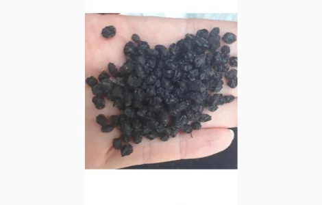 Купим сухую ягоду бузины, красную рябину.Работаем с новой почтой