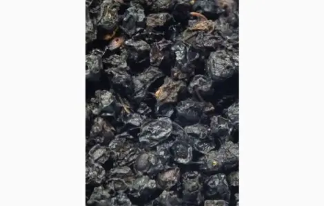 Купим только сухую ягоду Закупаем.Бузина