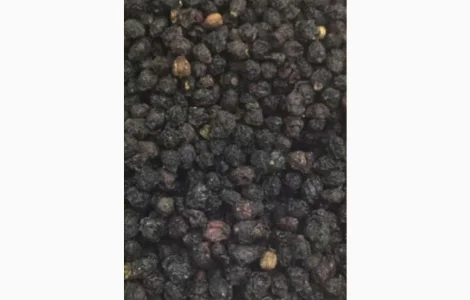 Купим сухую ягоду бузины