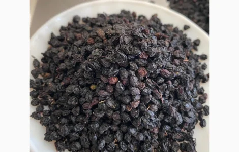 Сушена бузина преміум якості для експорту