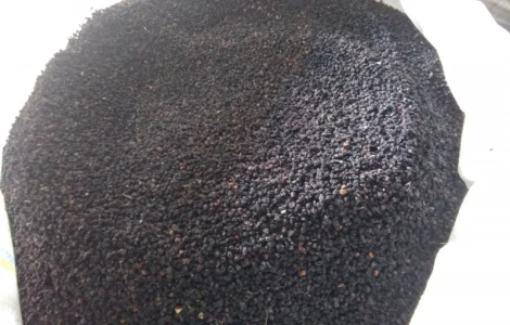 Суха ягода бузини