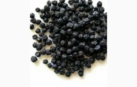 Закупка сухой ягоды бузины