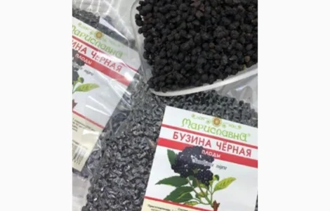 Ягоду БУЗИНЫ сухую закупаем по Украине