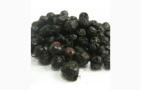 Закупка высушенной ягоды бузины – работа с доставкой