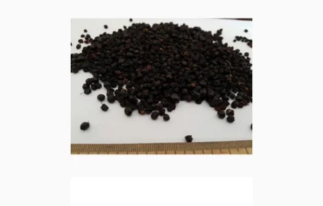 Бузина Сухая ягода.Закупаем.Заключаем договор на закупку