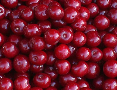 Вишня заморожена з кісткою куплю