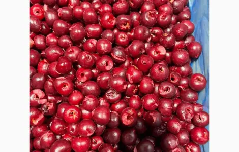 Продам вишня б/к шоковая заморозка