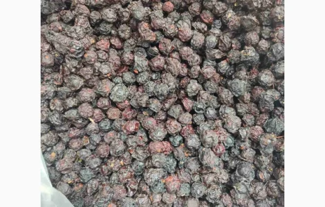 Продам сушену вишню