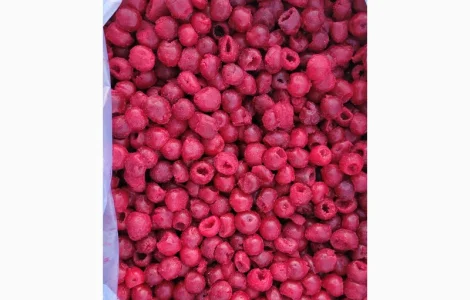 Вишня без кісточки