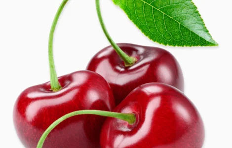 Куплю вишню 2025 года оптом