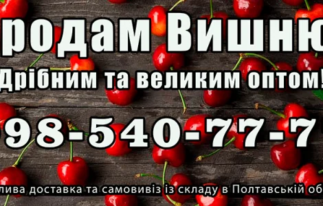 Продаю вишню, великим та малим оптом