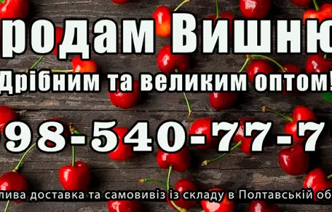 Продаю вишню