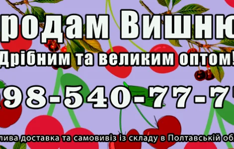 Реалізую вишню 2024 року врожайного