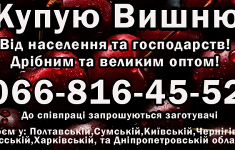 Куплю вишню урожая 2025 года оптом