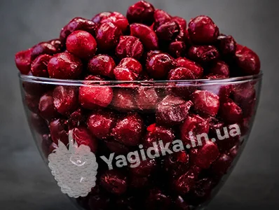 Продам Вишню свіжу і заморожену
