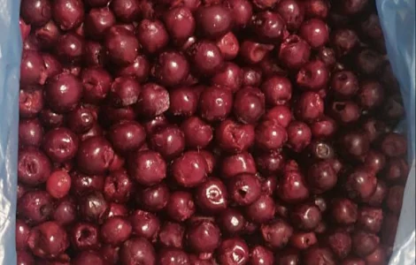 Продам вишню садову заморожену без кістки