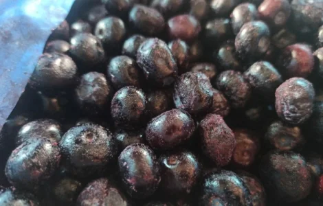 Куплю лохину заморожену