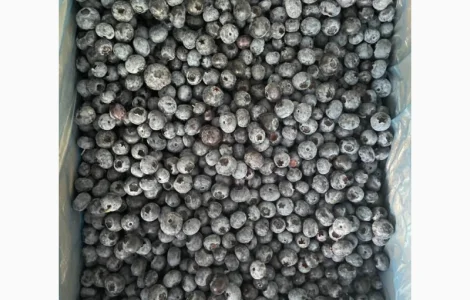 Продам ягоду голубику (свежемороженую)