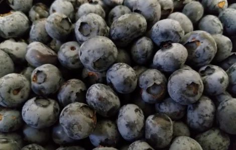 Продаємо ГОЛУБІКУ. (лохина)