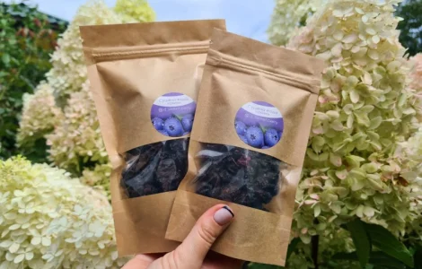 Сушена ягода лохини