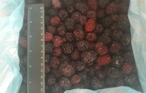 Ежевика Ожина очищенная замороженная